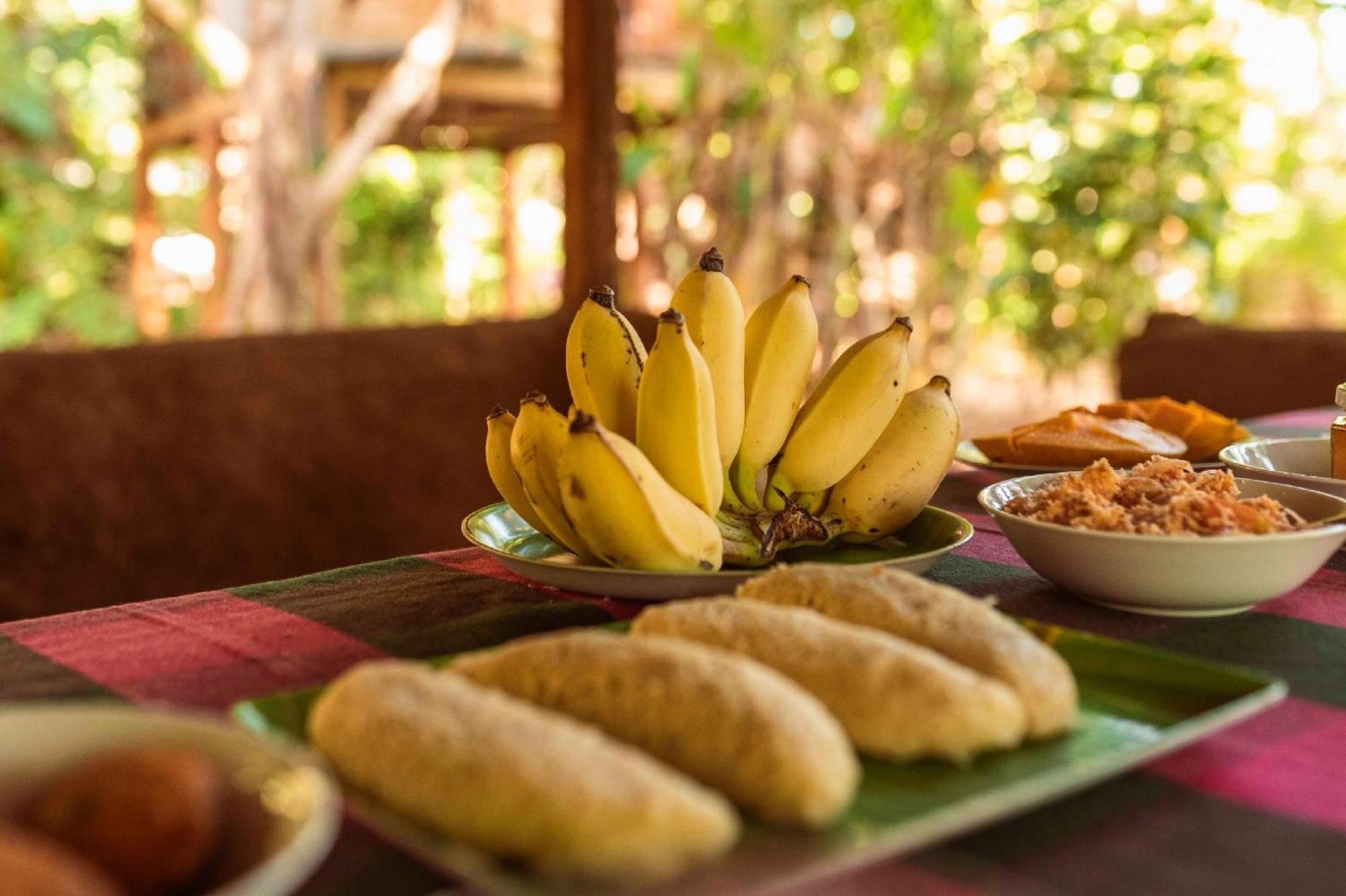 Sigiri Aliya Tree House Hotel Sigiriya Ngoại thất bức ảnh