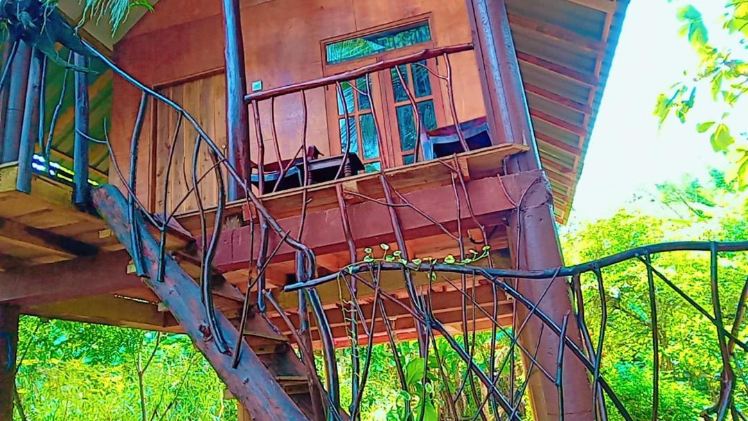 Sigiri Aliya Tree House Hotel Sigiriya Ngoại thất bức ảnh