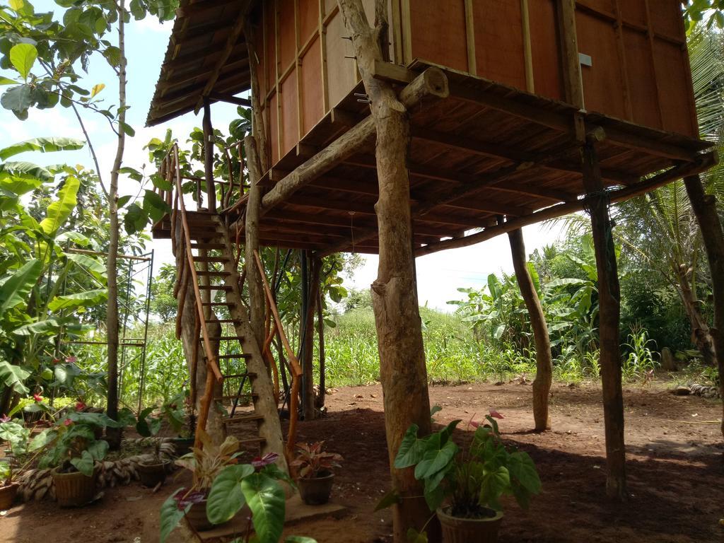 Sigiri Aliya Tree House Hotel Sigiriya Ngoại thất bức ảnh