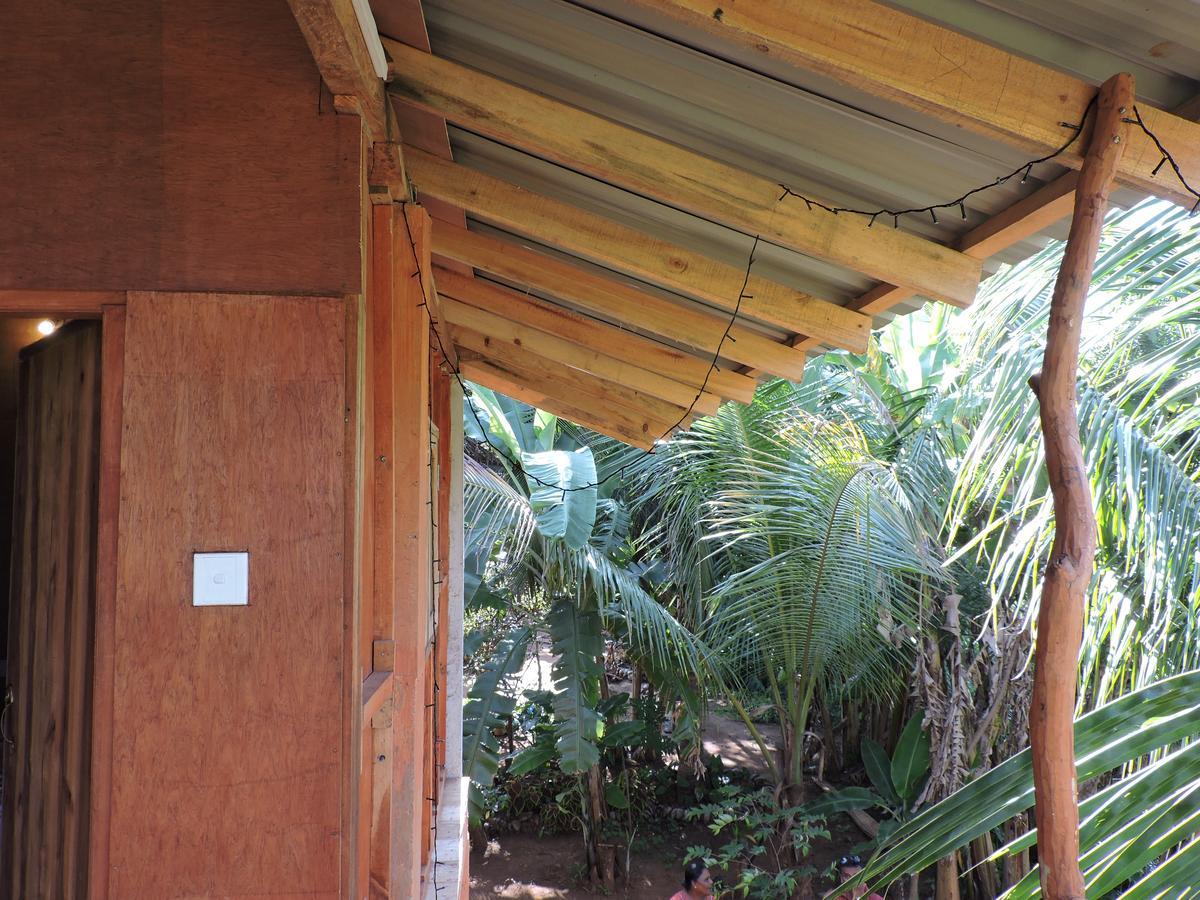 Sigiri Aliya Tree House Hotel Sigiriya Ngoại thất bức ảnh