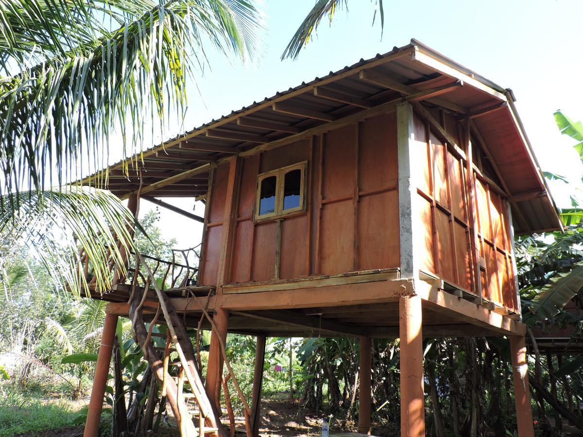Sigiri Aliya Tree House Hotel Sigiriya Ngoại thất bức ảnh
