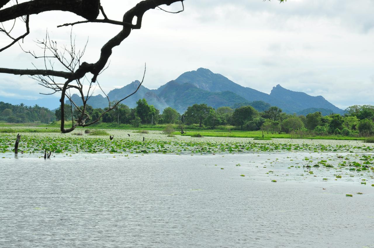Sigiri Aliya Tree House Hotel Sigiriya Ngoại thất bức ảnh