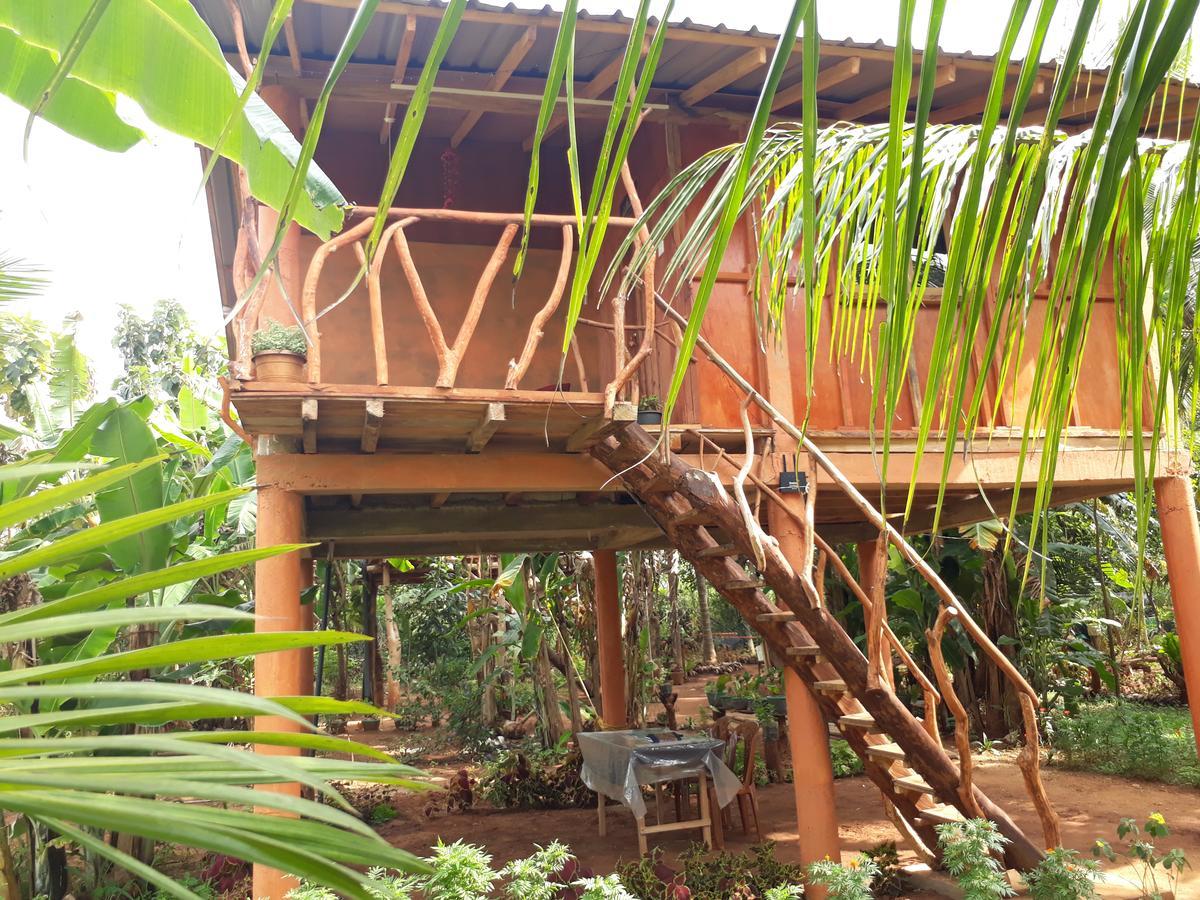 Sigiri Aliya Tree House Hotel Sigiriya Ngoại thất bức ảnh