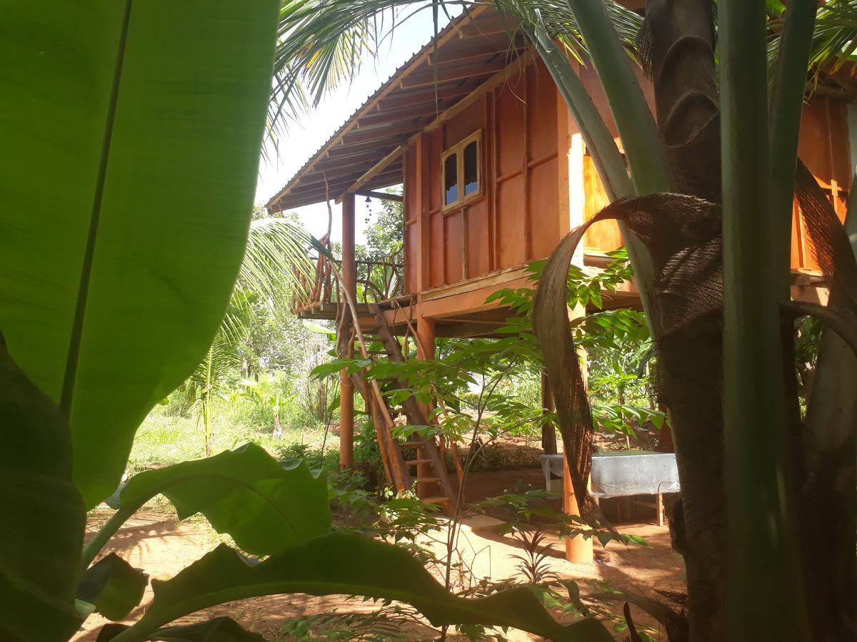 Sigiri Aliya Tree House Hotel Sigiriya Ngoại thất bức ảnh