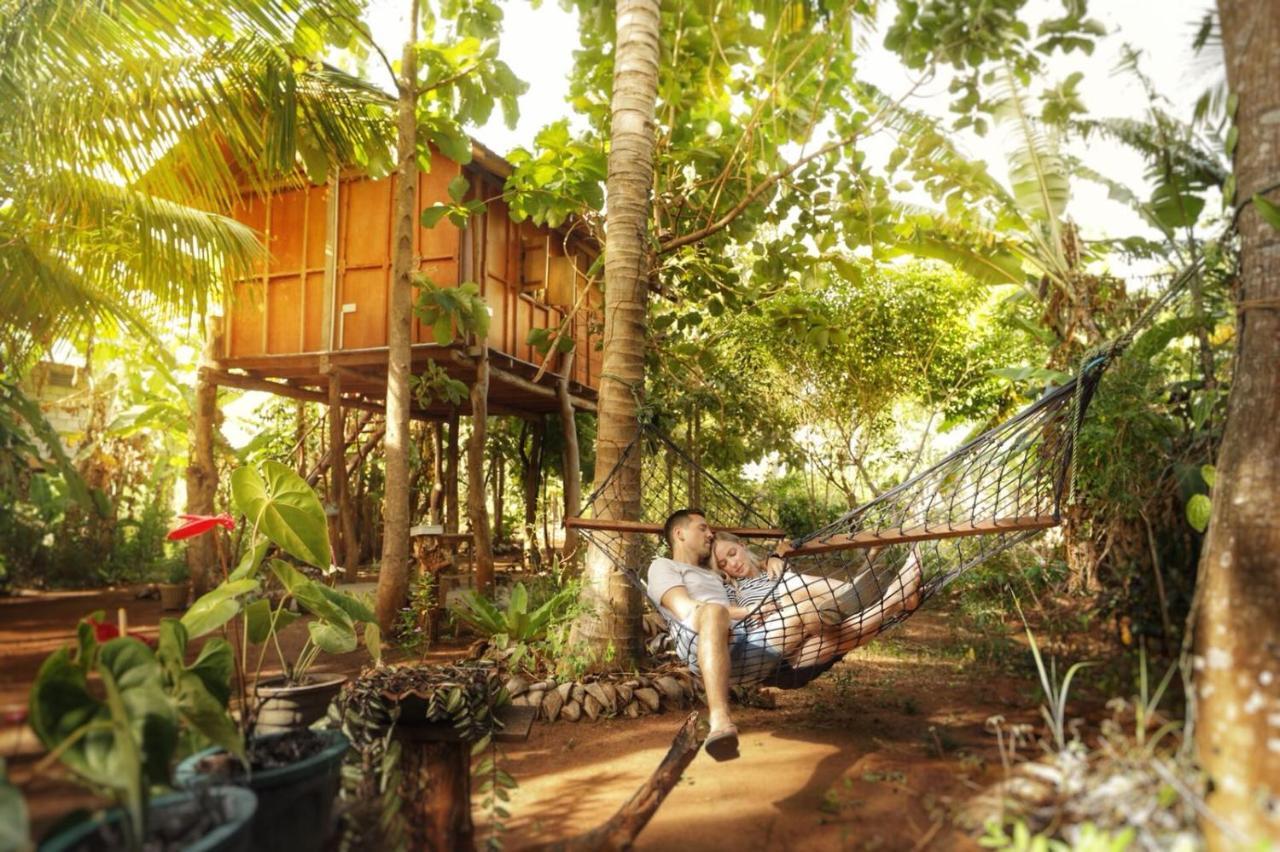 Sigiri Aliya Tree House Hotel Sigiriya Ngoại thất bức ảnh