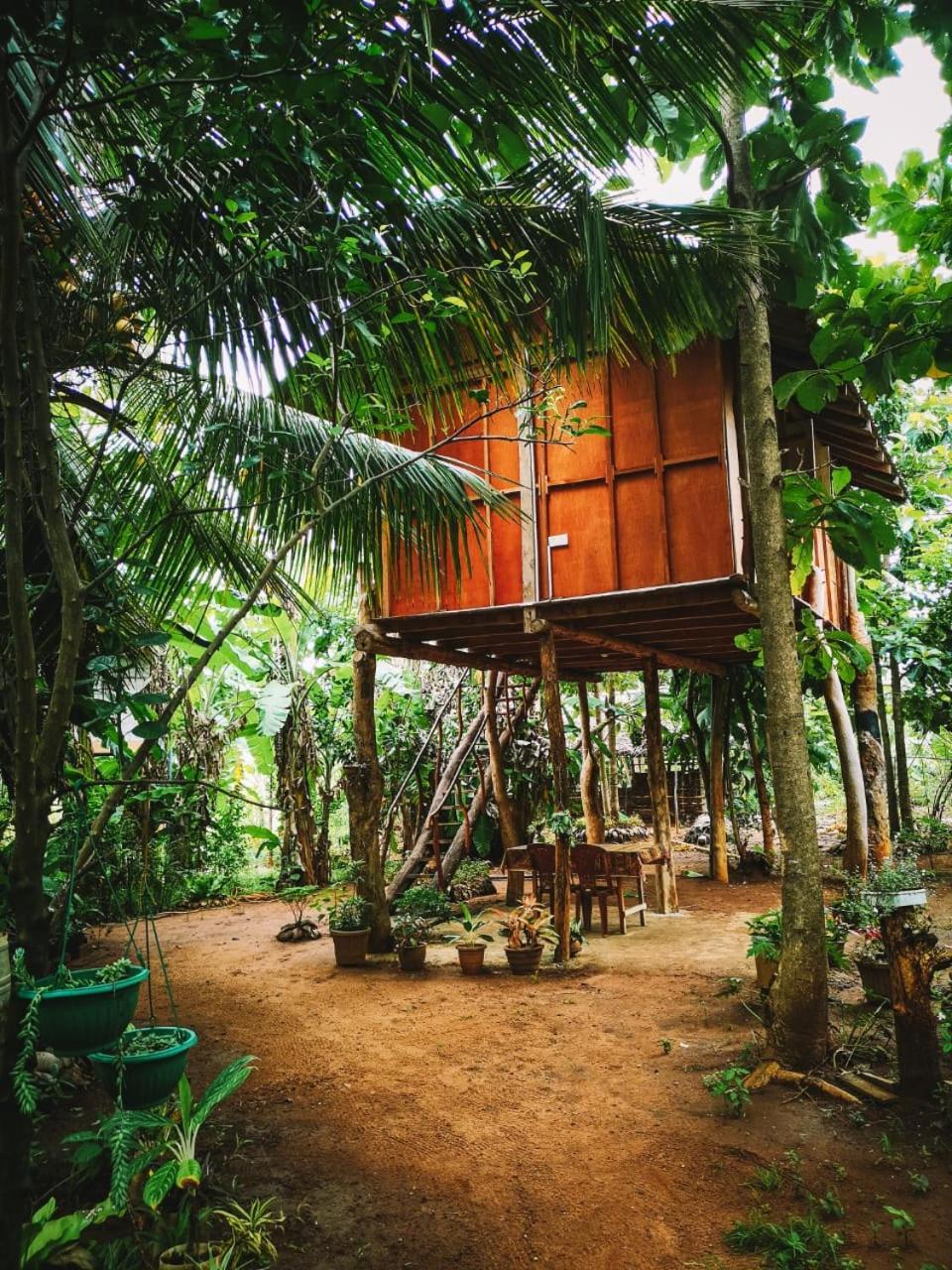 Sigiri Aliya Tree House Hotel Sigiriya Ngoại thất bức ảnh